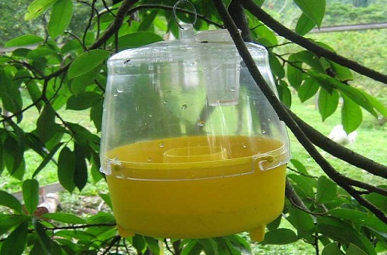 Trampas contra insectos vs plaguicidas Byostasys,