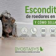 escondites-para-roedores-en-casa