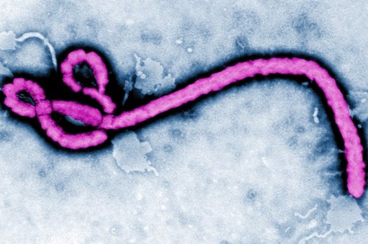 plaga del ébola en África