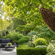 que-hacer-enjambre-abejas-jardin